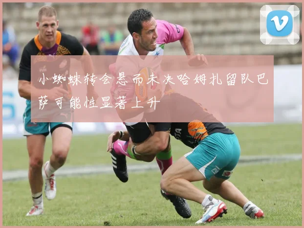 小蜘蛛转会悬而未决哈姆扎留队巴萨可能性显著上升