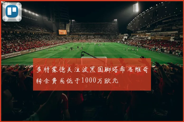 多特蒙德关注波黑国脚塔希洛维奇转会费或低于1000万欧元