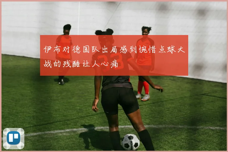 伊布对德国队出局感到惋惜点球大战的残酷让人心痛